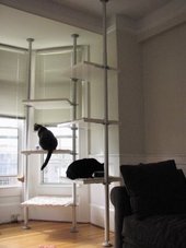 StolmenCatStairs1.jpg
